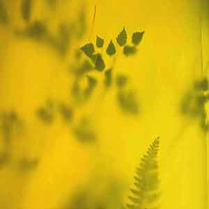 Hyojin Park single artwork